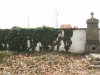 373 - 374 Reiberger -  Neisar